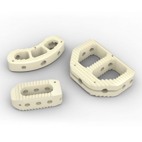 CLIA Spinal Cage System
